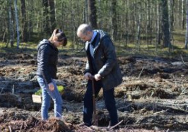 Sadzenie lasu w Nadleśnictwie Czersk „I Ty posadź swoje drzewko dla przyszłych pokoleń”